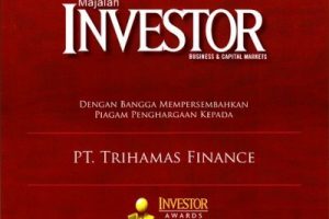 investor_20081